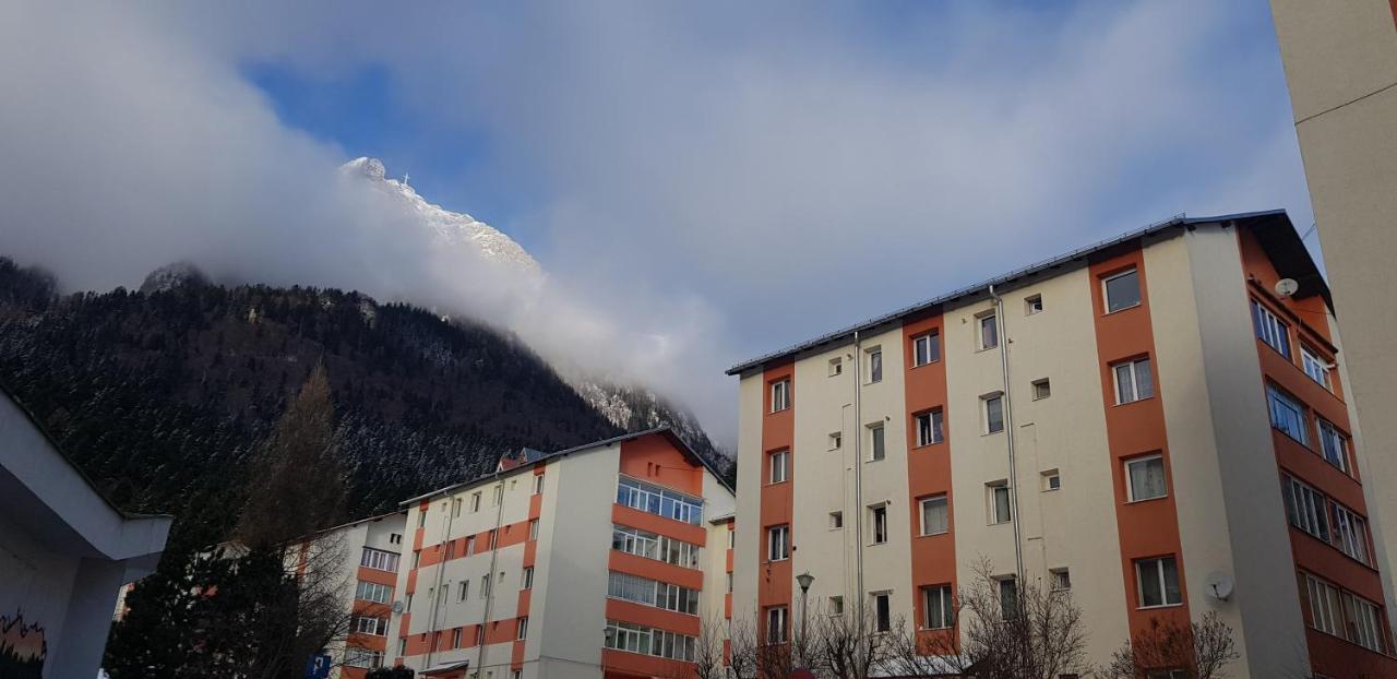 Apartament Silva Buşteni Esterno foto